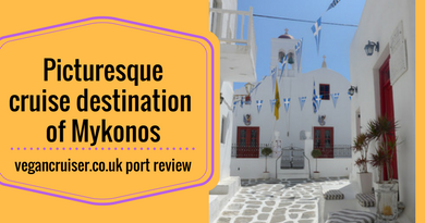 Mykonos port cruise review vegancruiser