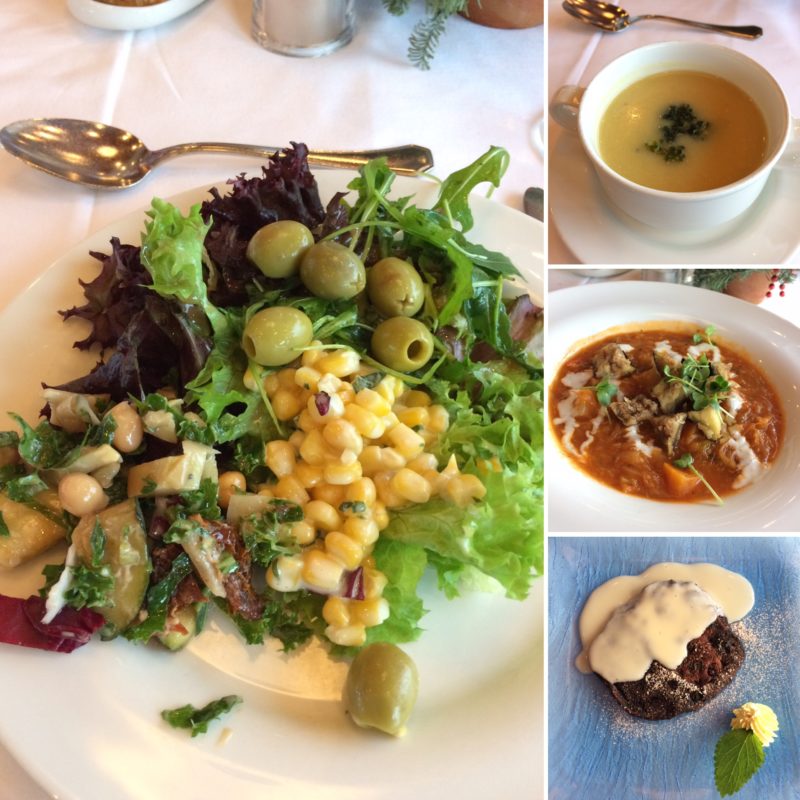 vegan travel vegan river cruise lunch collage 