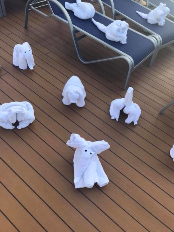 towel animal takeover of Lido