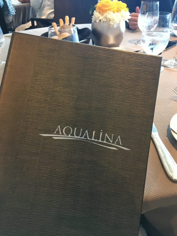 Aqualina menu cover