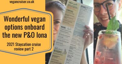 P&O Iona vegan menu options review part 2